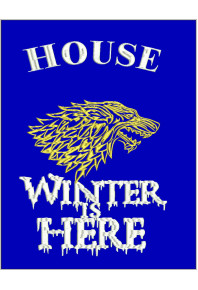 Dec097 - Winter is here Garden Flag